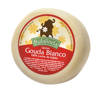 Gouda